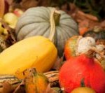harvest