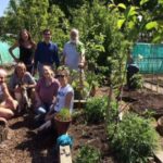 susannah_allotment