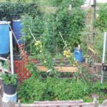 permaculture_gen