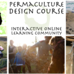 Online Permaculture Design Course